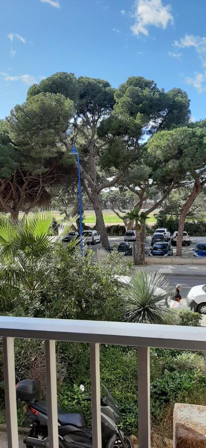 Les Iles D'Or Au Port De Hyeres Grand Studio Climatise Extérieur photo