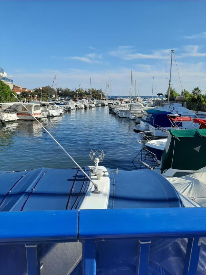 Les Iles D'Or Au Port De Hyeres Grand Studio Climatise Extérieur photo